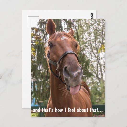 舌おもしろいを突き出した馬 ポストカード (正面/裏面)