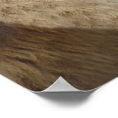 舌おもしろい出しライオンプリント ポスター (角)