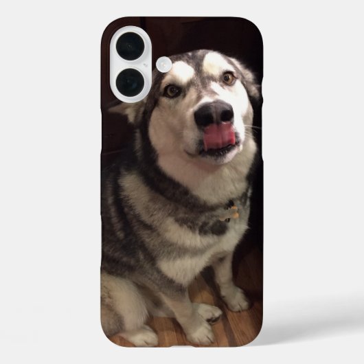 舌からかえるアラスカンマラム写真 Case-Mate iPhoneケース (裏面)