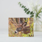 舌がついた！ ポストカード (スタンド正面)