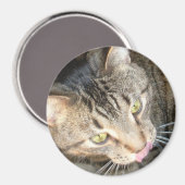 舌なめずり マグネット (正面/裏面)