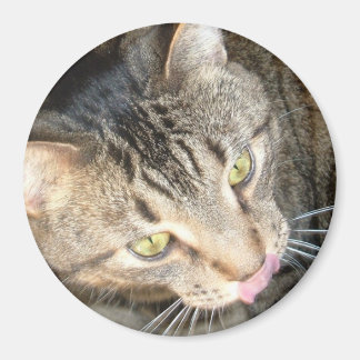 舌なめずり マグネット