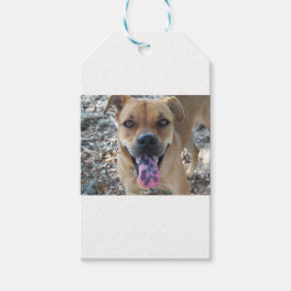 舌の斑点のあるハッピーブラウン犬 ギフトタグ