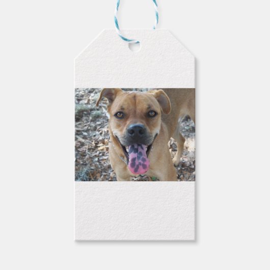 舌の斑点のあるハッピーブラウン犬 ギフトタグ (正面)