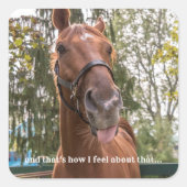 舌をおもしろい突き出した馬フォトシール スクエアシール (正面)