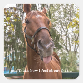 舌をおもしろい突き出した馬フォトシール スクエアシール