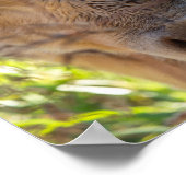 舌を出した牛プリント ポスター (角)