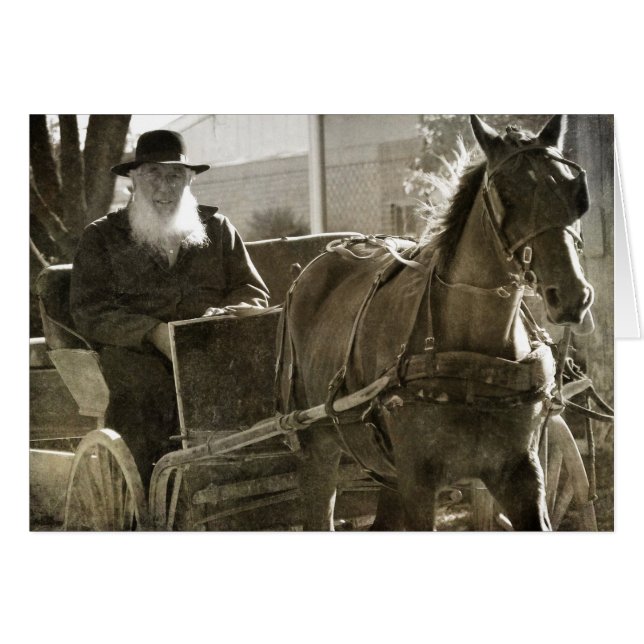 舌を出し間抜けたアミッシュな馬 (正面横)