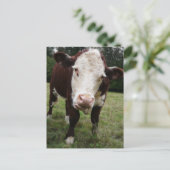 舌を出す牛 ポストカード (スタンド正面)