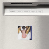 舌を振るうコリー マグネット (インサイチュ (食洗機))