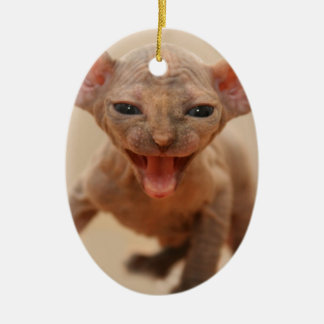 舌を搭載するかわいいsphynxの子ネコ セラミックオーナメント