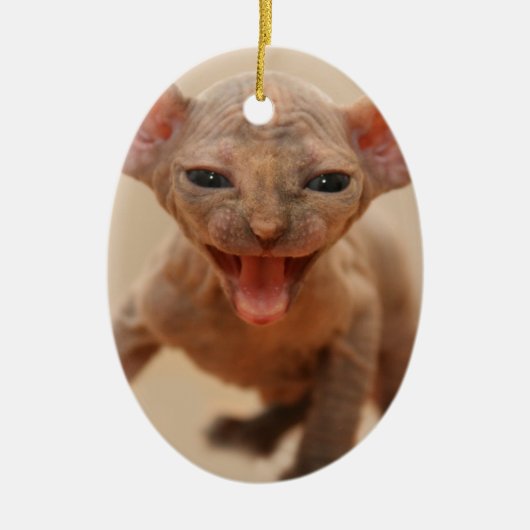 舌を搭載するかわいいsphynxの子ネコ セラミックオーナメント (正面)