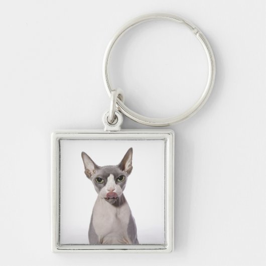 舌を搭載するSphynx猫 キーホルダー (正面)