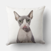 舌を搭載するSphynx猫 クッション (裏面)