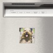 舌を示す，長い髪，ポートレート マグネット (インサイチュ (食洗機))