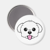 舌を突き出したかわいい白いビコンフリーズ犬 マグネット (正面/裏面)