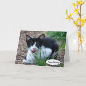 舌を突き出したタキシードの子猫 カード (黄色い花)