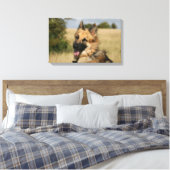 舌を突き出しているドイツの羊飼い キャンバスプリント (インサイチュ (寝室))