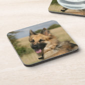 舌を突き出ているジャーマン・シェパード コースター (左側)