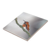 舌を突き出ているハチドリ タイル (側面)