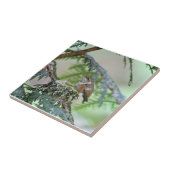 舌を突き出ているベビーのハチドリ タイル (側面)