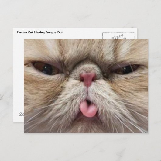 舌を突き出ているペルシャ ポストカード (正面/裏面)