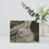 舌ツイスター！ |はがき ポストカード (スタンド正面)