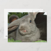 舌ツイスター！ |はがき ポストカード (正面/裏面)