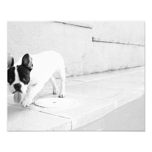 舌フランスのを出す フォトプリント            (正面)