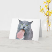 舌得を猫に？ カード (黄色い花)