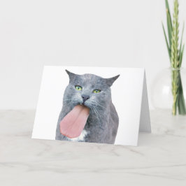 舌得を猫に? カード