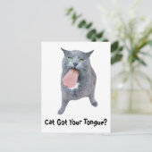 舌得を猫に？ ポストカード (スタンド正面)