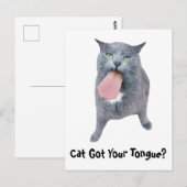 舌得を猫に？ ポストカード (正面/裏面)