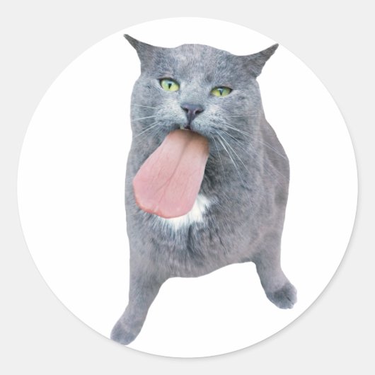 舌得を猫に？ ラウンドシール (正面)