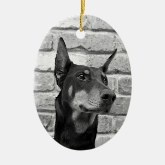 舐めてもいいか顔 セラミックオーナメント (正面)