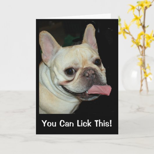 舐めろ！お見舞い カード (黄色い花)