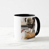 舗装からのアイスクリームを食べている犬 マグカップ (正面右)