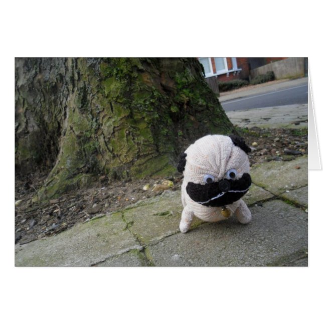 舗装の犬 (正面横)