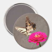 舗装の背景を持つ赤い《植物》百日草の蝶M マグネット (正面/裏面)