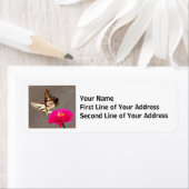 舗装を背景にした《植物》百日草上の蝶 ラベル (インサイチュ)