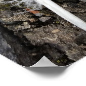 舗装上の羽毛 ポスター (角)