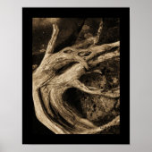 舞踊家 ポスター (正面)