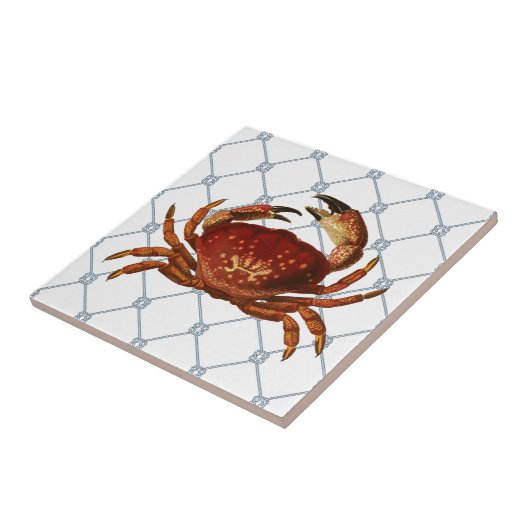 航海のなカニ タイル (側面)