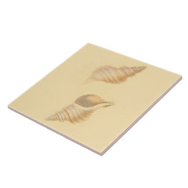 航海のなテーマのセラミックタイルの海の貝 タイル