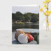 航海のオーナメントオンピア カード (黄色い花)