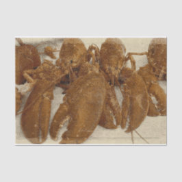 航海のヴィンテージ海テクスチャロブスター 薄葉紙