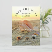 航海の星型動物 名 ビーチ 夕焼け Save the Date 招待状 (スタンド正面)