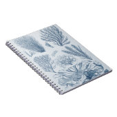 航海の海洋生物 ノートブック (右側)