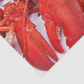 航海の海赤ロブスター 薄葉紙 (詳細)