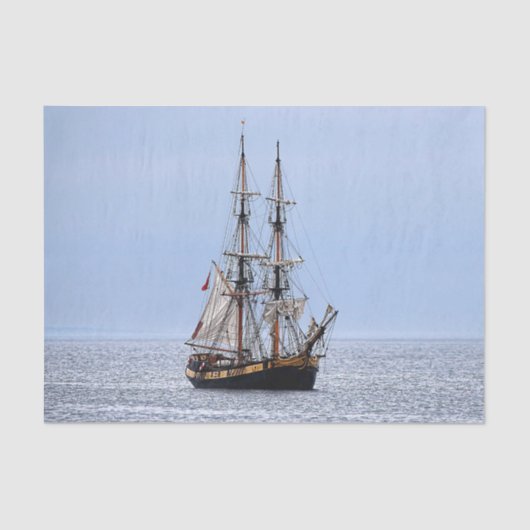 航海の魚釣りボートブルースカイズ 薄葉紙 (正面)